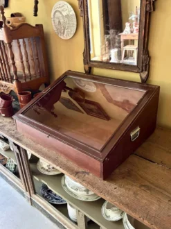 Vitrine de présentation en bois foncé et verre