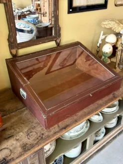 Vitrine de présentation en bois foncé et verre