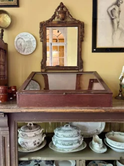 Vitrine de présentation en bois foncé et verre