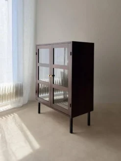 Vitrine du milieu du siècle en bois foncé avec verre