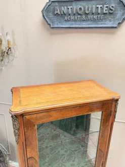 VITRINE EN PALISSANDRE DE STYLE LOUIS XVI XIX EME SIÈCLE