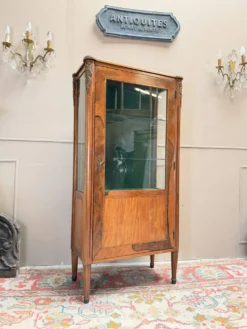 VITRINE EN PALISSANDRE DE STYLE LOUIS XVI XIX EME SIÈCLE