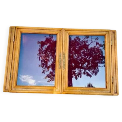 Vitrine murale en bois avec porte en verre