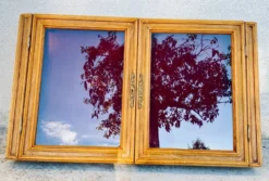 Vitrine murale en bois avec porte en verre