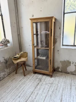 Vitrine pin anglaise XIXème
