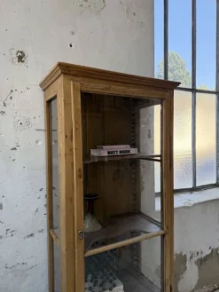Vitrine pin anglaise XIXème