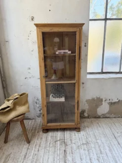 Vitrine pin anglaise XIXème