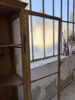 Vitrine pin anglaise XIXème