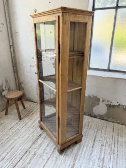 Vitrine pin anglaise XIXème
