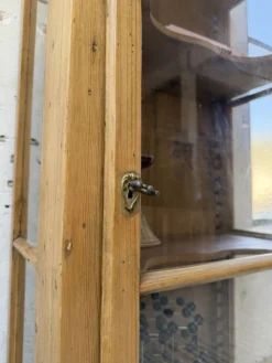 Vitrine pin anglaise XIXème