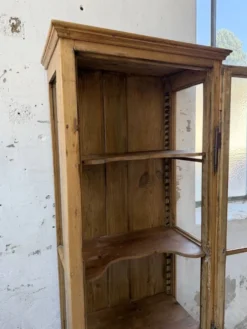 Vitrine pin anglaise XIXème