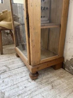 Vitrine pin anglaise XIXème