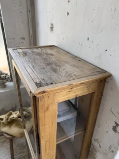 Vitrine pin anglaise XIXème