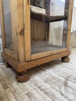 Vitrine pin anglaise XIXème