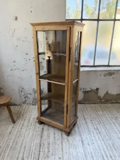 Vitrine pin anglaise XIXème