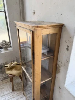 Vitrine pin anglaise XIXème