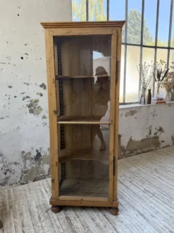 Vitrine pin anglaise XIXème