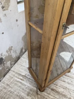 Vitrine pin anglaise XIXème
