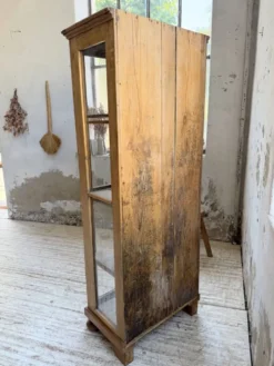 Vitrine pin anglaise XIXème