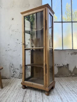 Vitrine pin anglaise XIXème