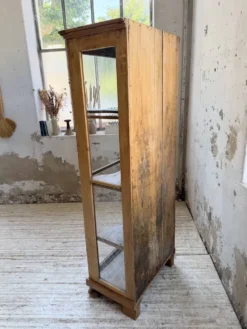 Vitrine pin anglaise XIXème