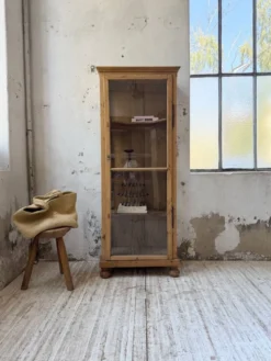 Vitrine pin anglaise XIXème