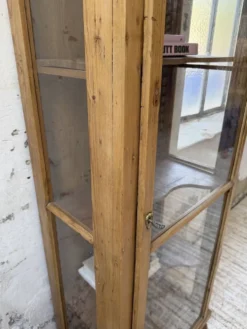 Vitrine pin anglaise XIXème