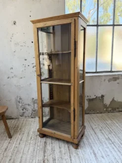 Vitrine pin anglaise XIXème
