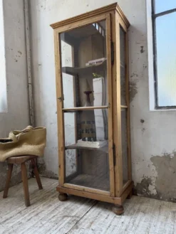 Vitrine pin anglaise XIXème