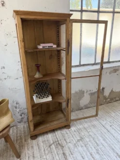 Vitrine pin anglaise XIXème