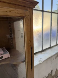 Vitrine pin anglaise XIXème