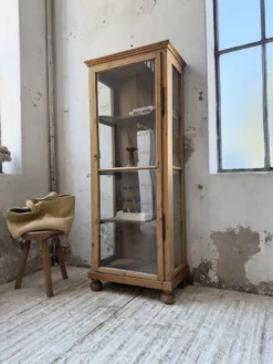 Vitrine pin anglaise XIXème