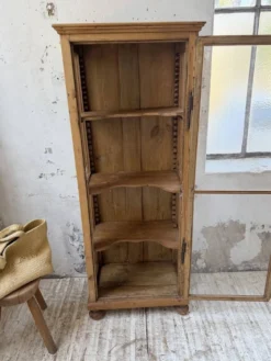 Vitrine pin anglaise XIXème