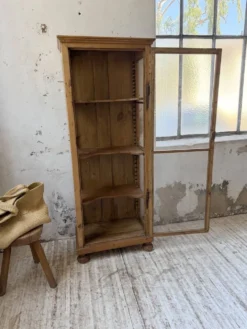 Vitrine pin anglaise XIXème
