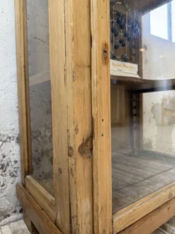 Vitrine pin anglaise XIXème
