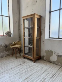 Vitrine pin anglaise XIXème