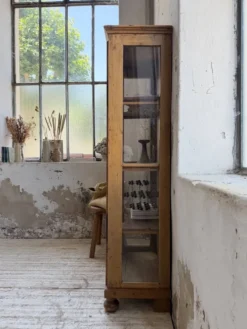 Vitrine pin anglaise XIXème