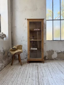 Vitrine pin anglaise XIXème