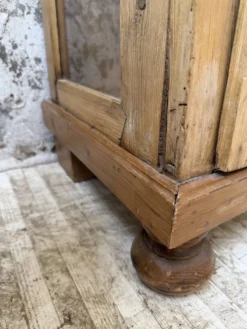 Vitrine pin anglaise XIXème