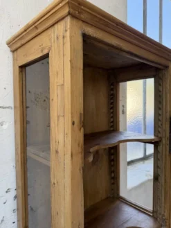 Vitrine pin anglaise XIXème