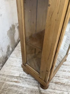 Vitrine pin anglaise XIXème