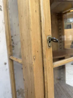 Vitrine pin anglaise XIXème