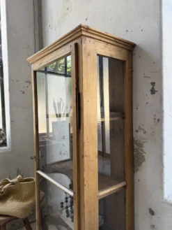 Vitrine pin anglaise XIXème