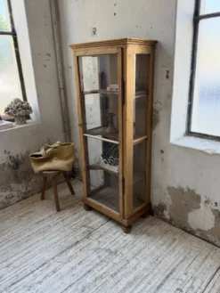 Vitrine pin anglaise XIXème