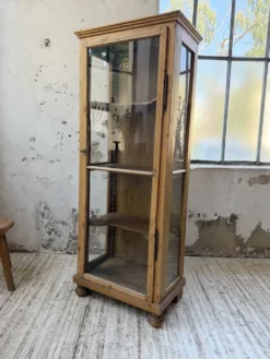 Vitrine pin anglaise XIXème