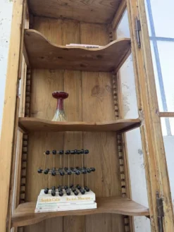 Vitrine pin anglaise XIXème
