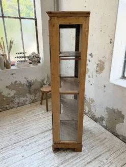 Vitrine pin anglaise XIXème