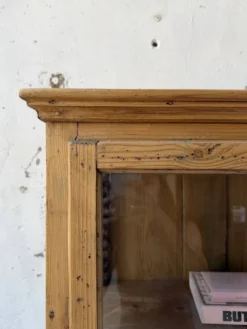 Vitrine pin anglaise XIXème