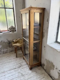 Vitrine pin anglaise XIXème