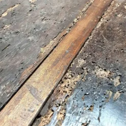 Véritable coffre en chêne antique du 19e siècle, grand coffre à couvertures/trésor.